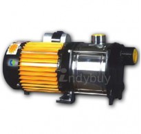 Crompton Greaves Shallow Well Jet Pump